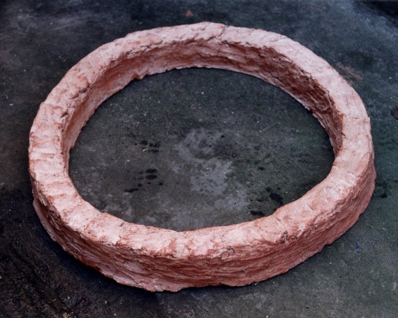 Ring 1996